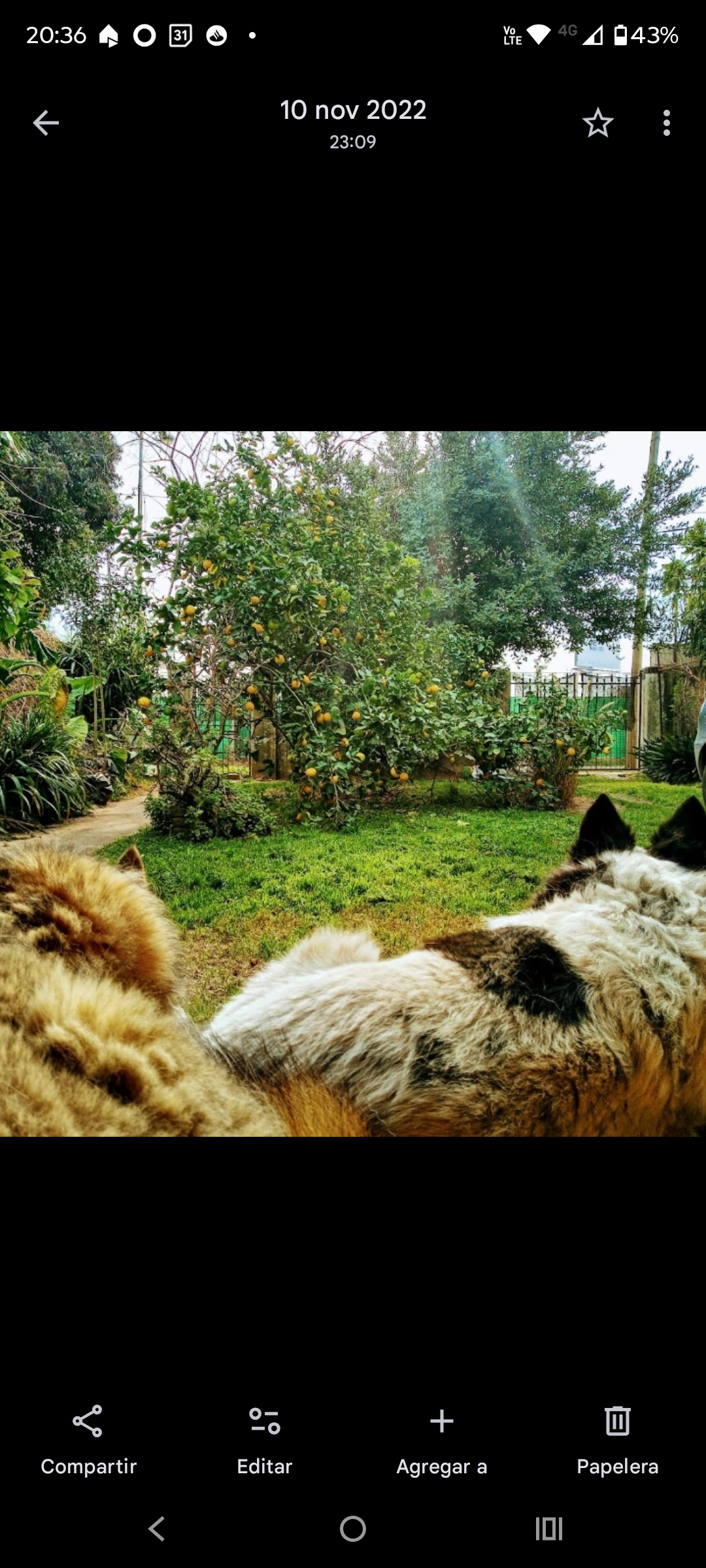 GuarderiANA  ?? Analia Gonzalez