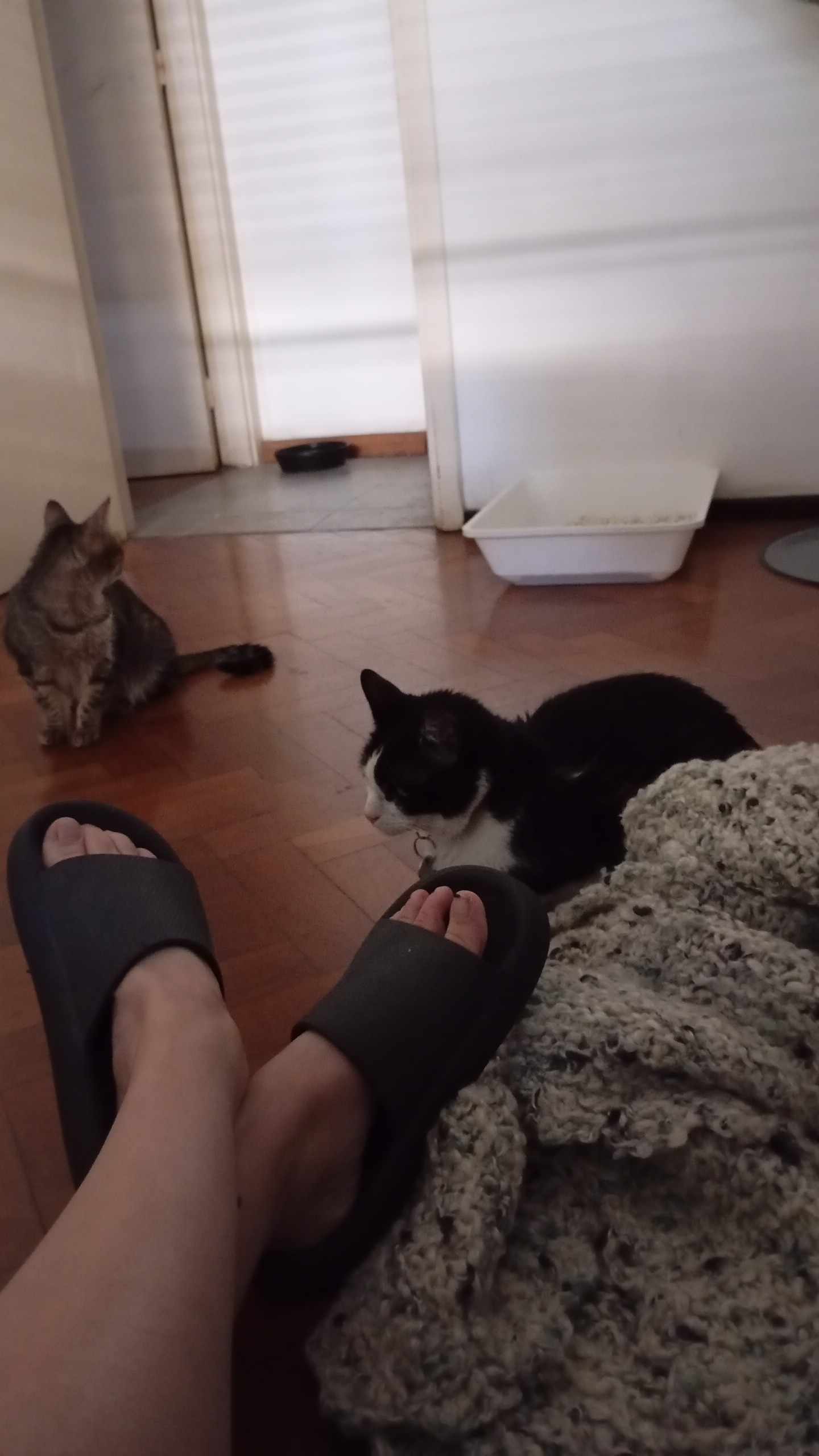 La casita de Tier ?? Belen Iglesias