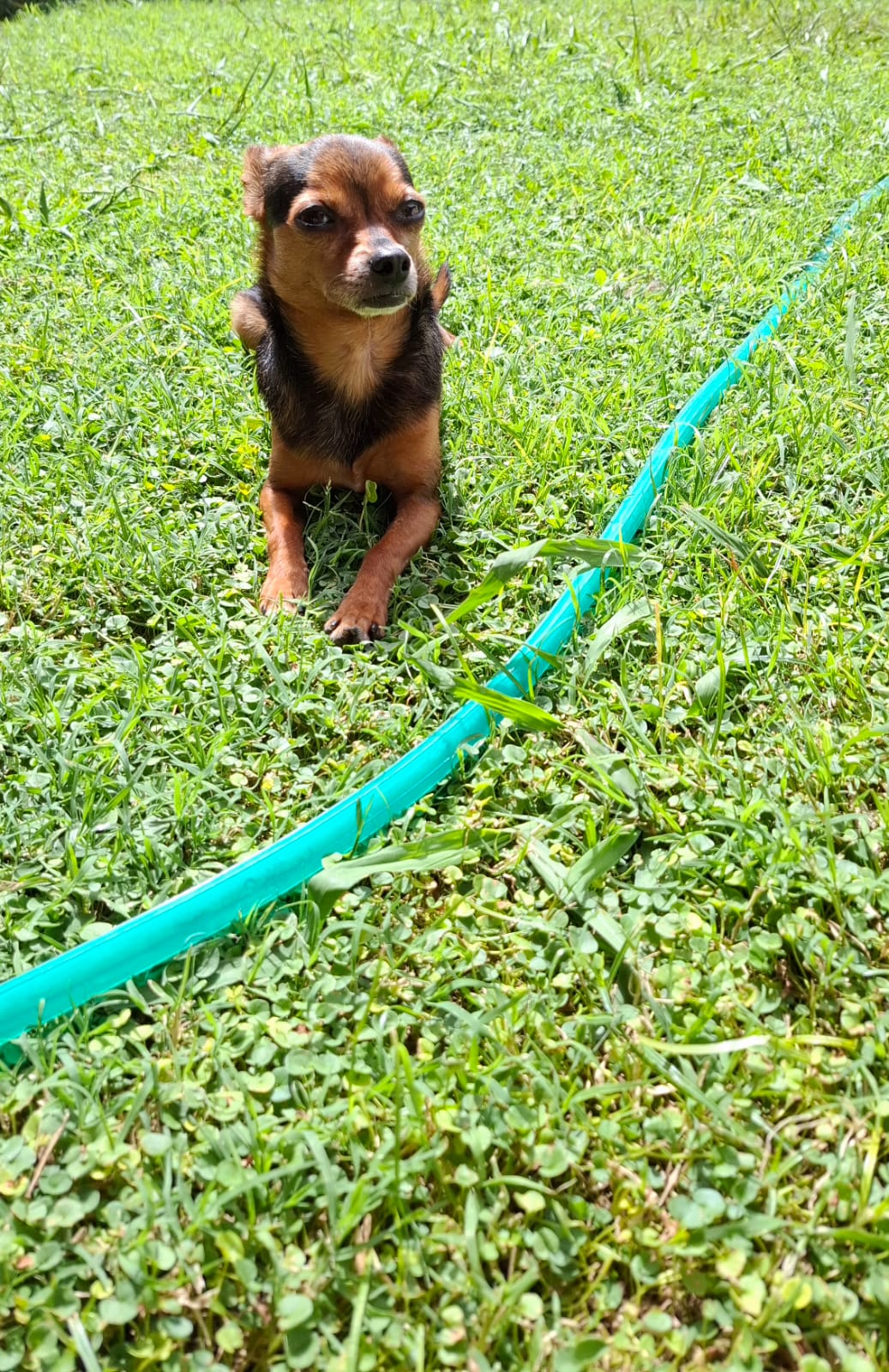 Huellitasdebudy ?? Soledad  Martin