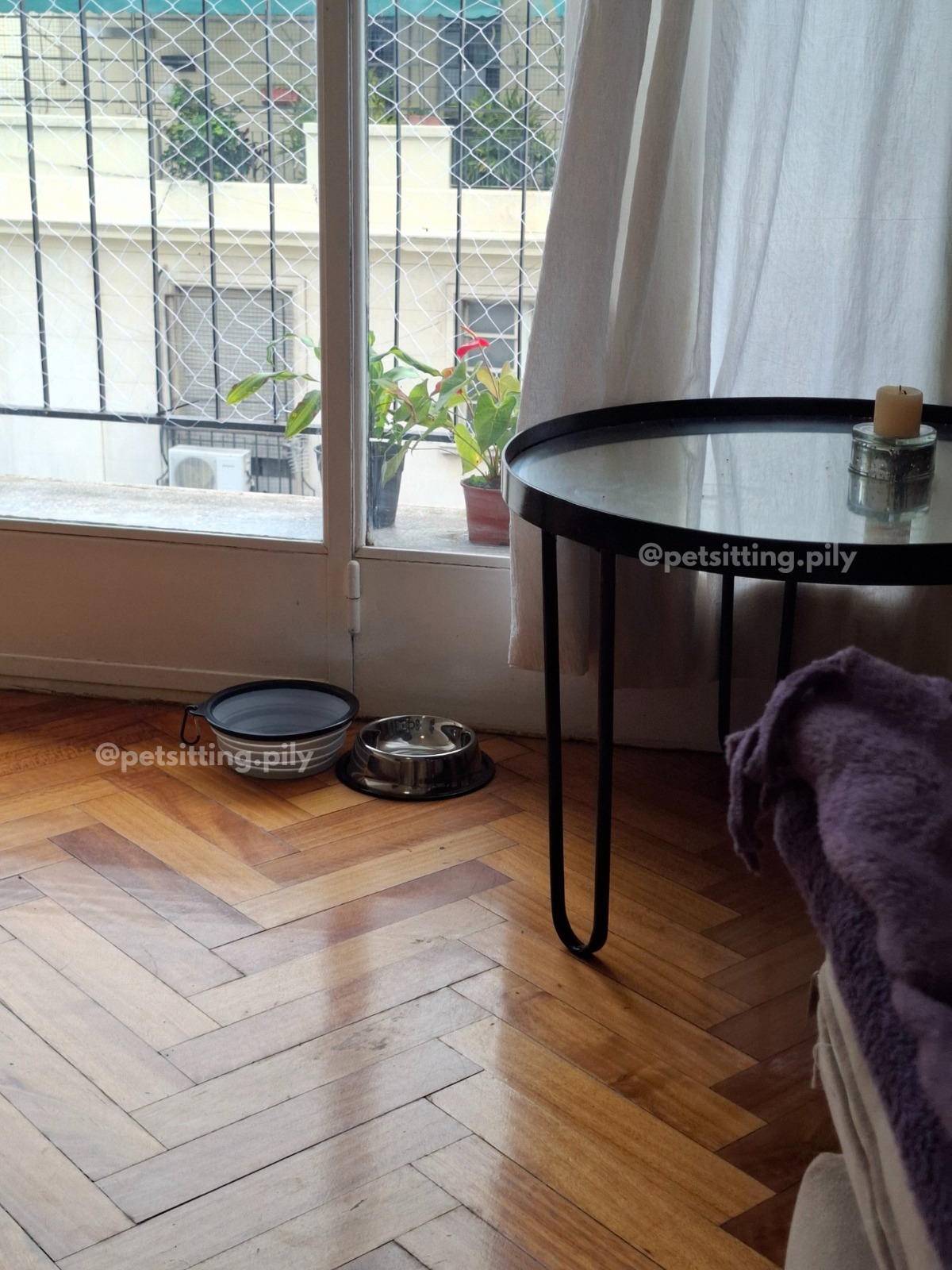 Depto cómodo, acogedor y seguro para tu mascota 🐾🐱🐶 ?? Pily Garcia