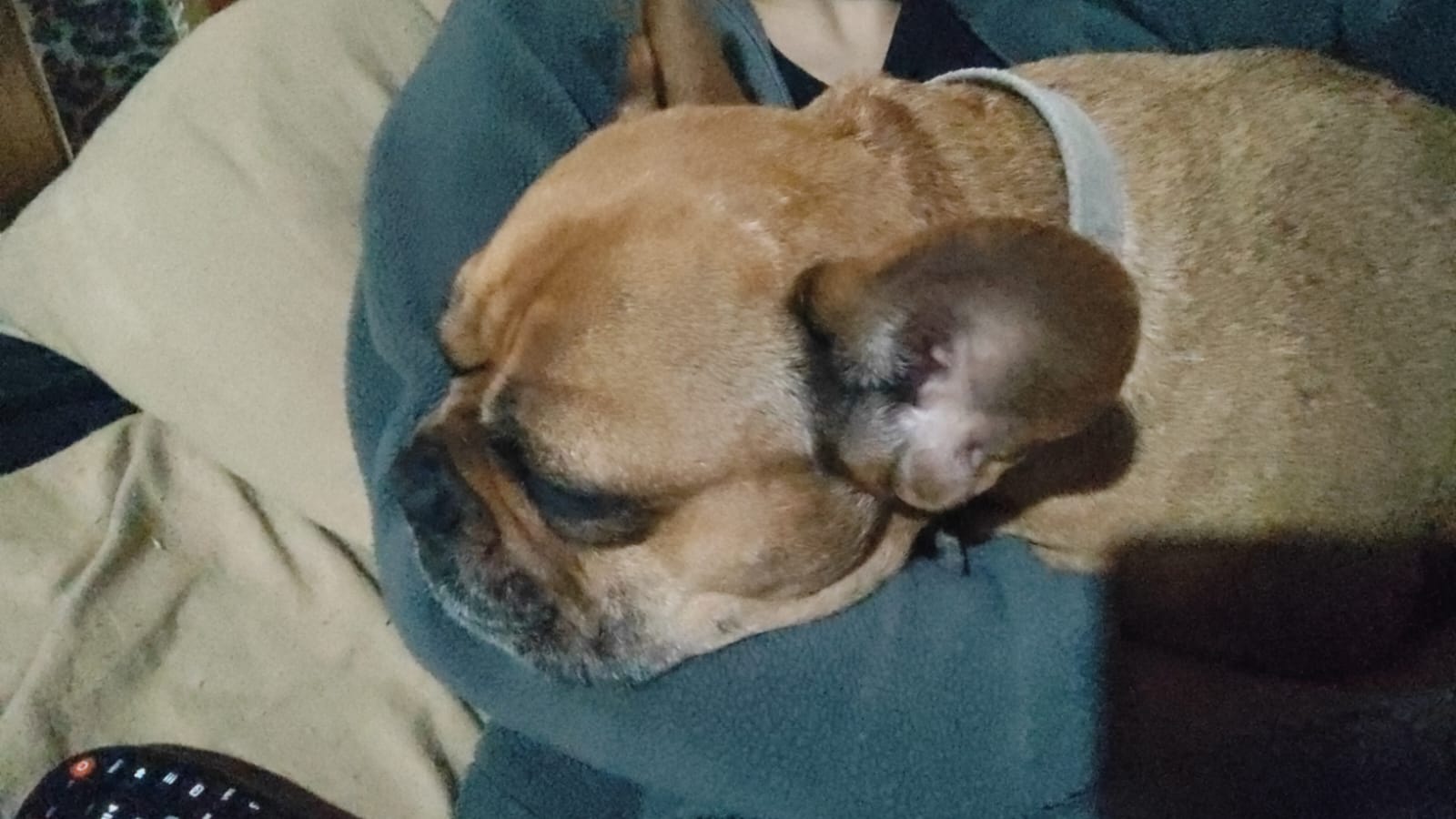 Foto de Corina noelia Mendez